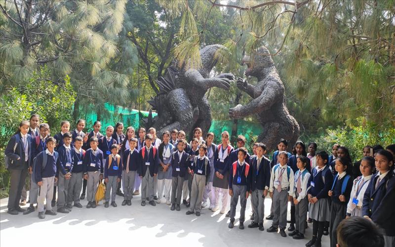 LAST YEAR ACTIVITY